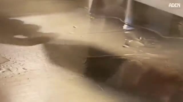 Olive Wagyu in Japan - The rarest Steak in the World