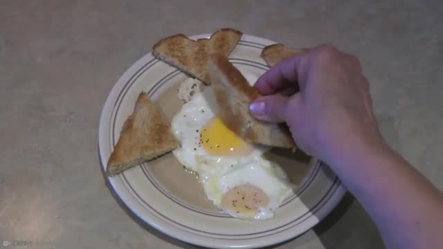 15 Most Unique Bird Eggs in the world | Part 3