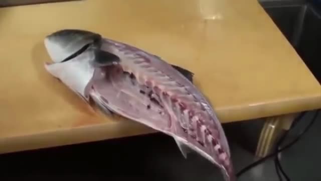 Unusual Animals can Live after Death | Part 1