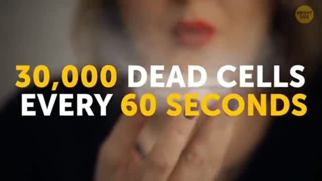 50+ Body Facts | Part 1