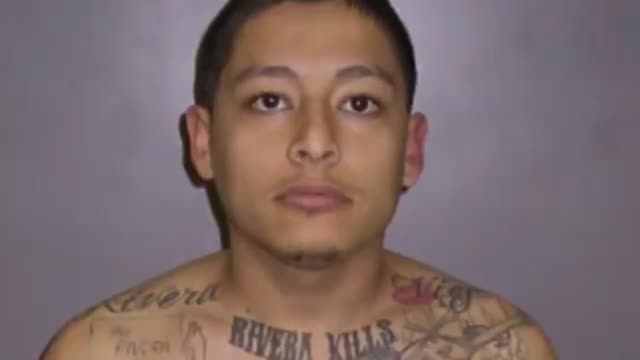 Dumb Сriminals Who Uncovered Their Own Crimes