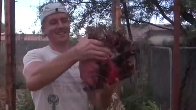 15 Fruits and Vegetables ever grown | Part 4