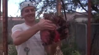 15 Fruits and Vegetables ever grown | Part 4