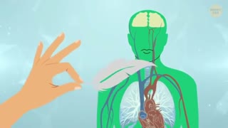 50+ Body Facts | Part 4