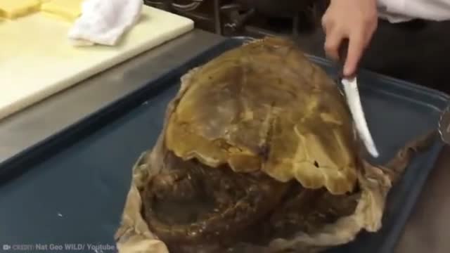 15 Foods not allowed to eat in US | Part 3