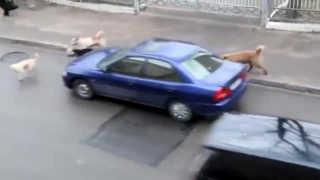 10 Glitches In The Matrix Caught On Tape!