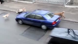 10 Glitches In The Matrix Caught On Tape!