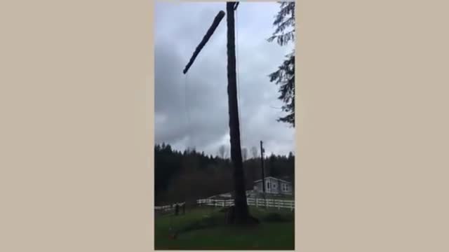 One in a Million Coincidences | Part 18