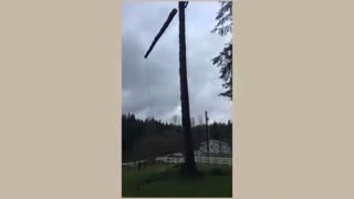 One in a Million Coincidences | Part 18