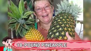 15 Fruits and Vegetables ever grown | Part 2
