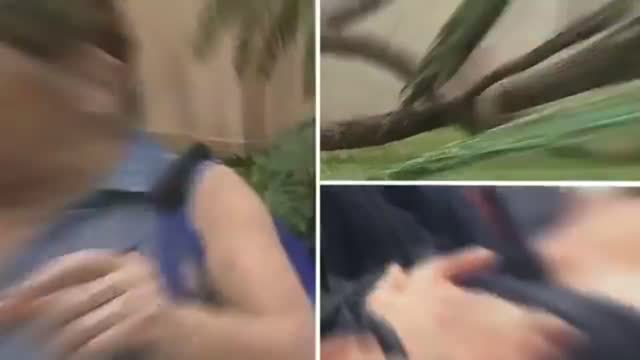 Satisfying Times Karma Came For Awful People 