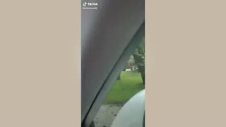 One in a Million Coincidences | Part 16