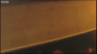 Holding a Red Bellied Piranha | Ultimate Killers | BBC Earth