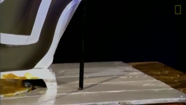 See How Easily a Rat Can Wriggle Up Your Toilet | National Geographic