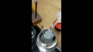 Moments caught on camera