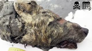 Strangest Objects Recently Discovered