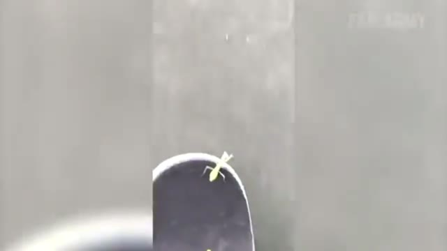 Try Not to Laugh Challenge! Funny Fails | Fails of the Week | FailArmy