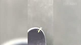 Try Not to Laugh Challenge! Funny Fails | Fails of the Week | FailArmy