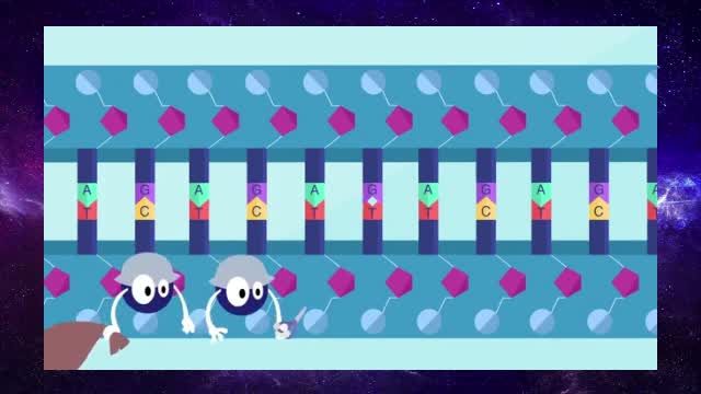 What happens when your DNA is damaged?