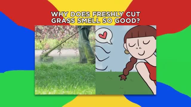 Interesting Facts You’re Too Lazy To Google