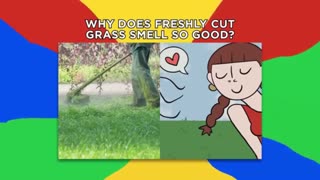 Interesting Facts You’re Too Lazy To Google