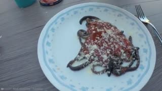 15 Tasty Animals you can eat | Part 4