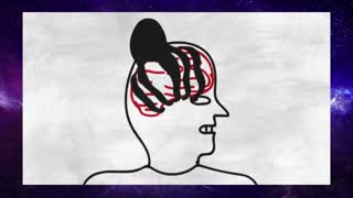 Why is it so hard to cure cancer?