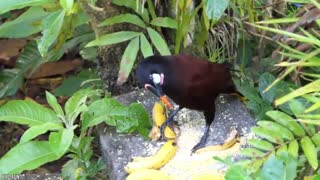 15 Most Amazing Home Built by Animal Architect |  Part 5