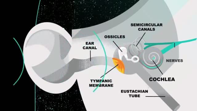 What’s that ringing in your ears?