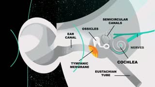 What’s that ringing in your ears?