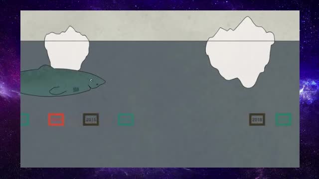 Why do animals have such different lifespans?