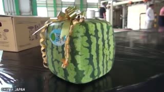 15 Expensive fruits only rich can buy | Part 1