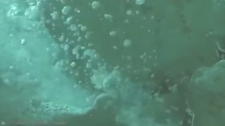 15 Most Mysterious Jungle | Part 2