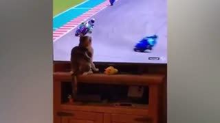 One in a Million Coincidences | Part 1