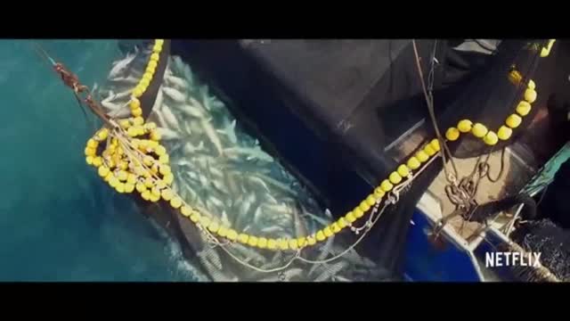 Seaspiracy | Official Trailer | Netflix