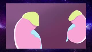 How stress affects your body