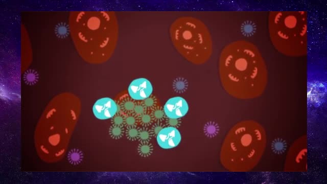 How do vaccines work? 