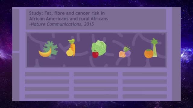 How the food you eat affects your gut 