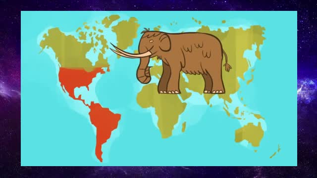 Why are sloths so slow?