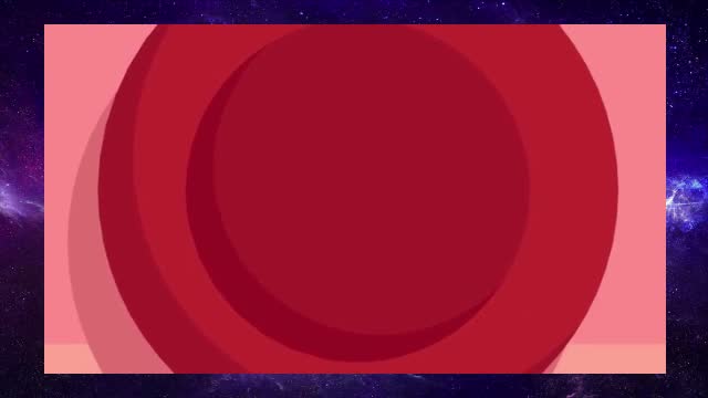 How does your immune system work? 