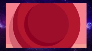 How does your immune system work? 