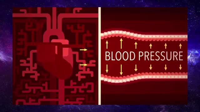 How blood pressure works 