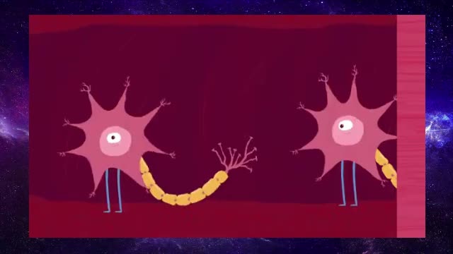 How fast is the speed of thought?