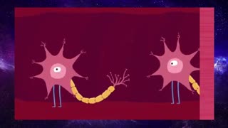 How fast is the speed of thought?