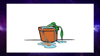 What would happen if you didn’t drink water? 