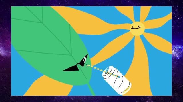 The bug that poops candy