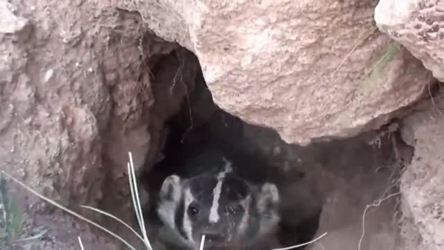 This is Why We Don’t See Them