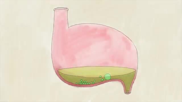 How does your body process medicine