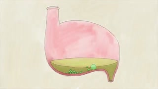 How does your body process medicine