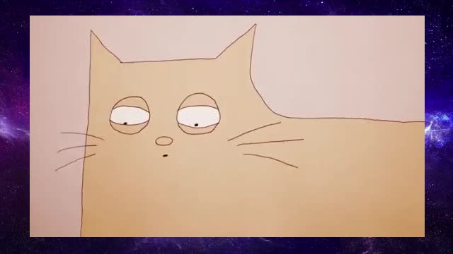 Why do cats act so weird? 